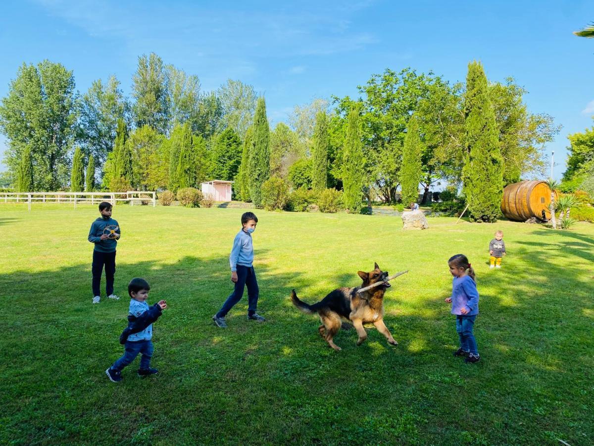 Agriturismo Le Fornase 카스텔누보델가다 외부 사진