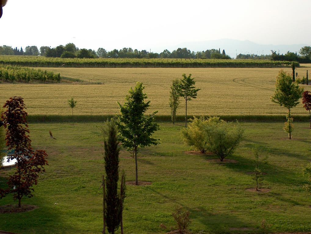 Agriturismo Le Fornase 카스텔누보델가다 외부 사진