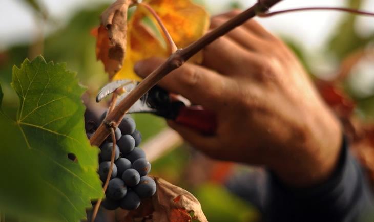 Agriturismo Le Fornase 카스텔누보델가다 외부 사진